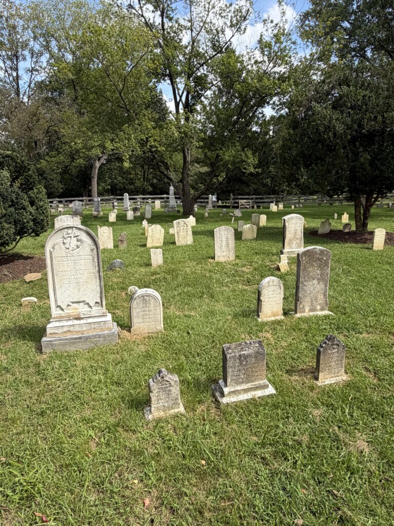 Cemetery views south